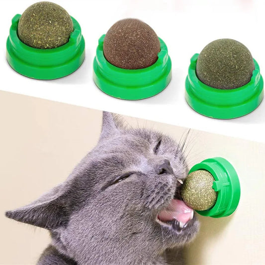 Liiutik - Cat Wall Stick-on Ball