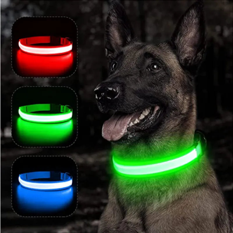 Liutik - LED Dog Collar