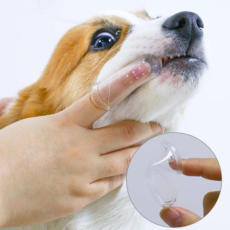 Liutik - Dog dental brush