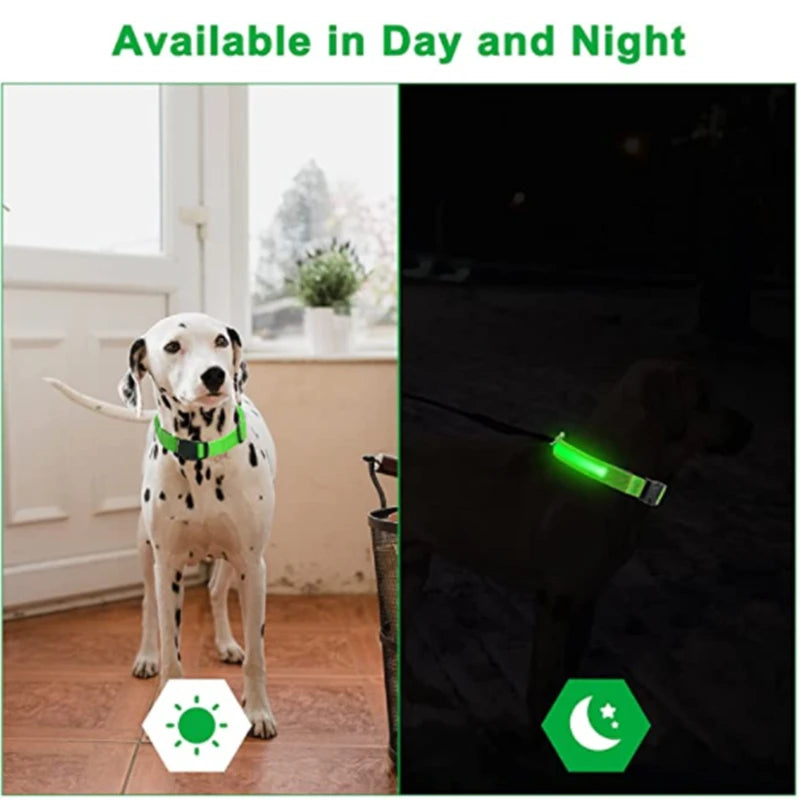Liutik - LED Dog Collar